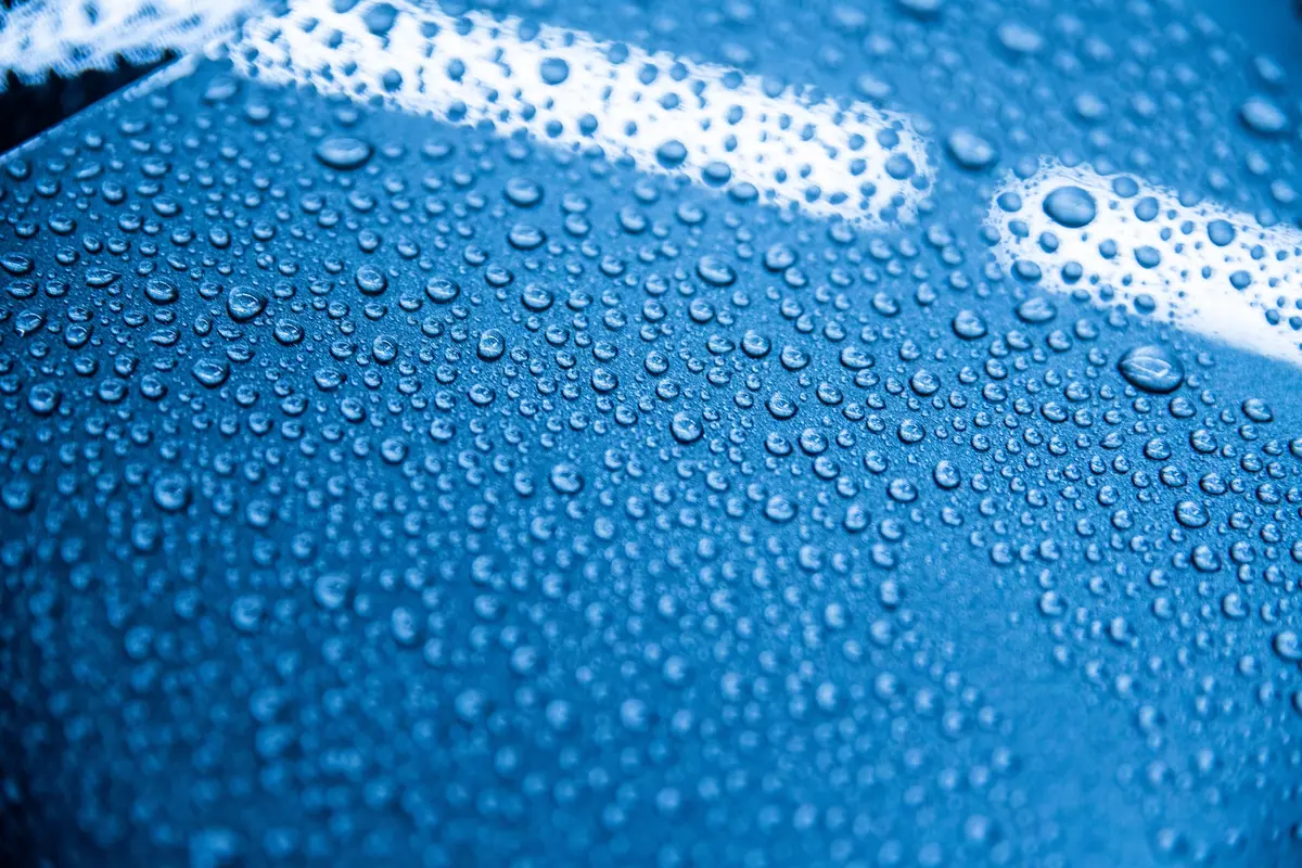 Coatings Expertise