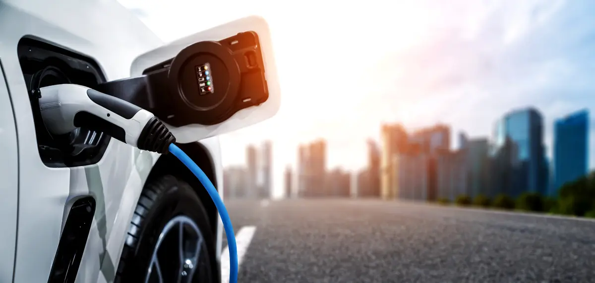 EV Battery Expertise
