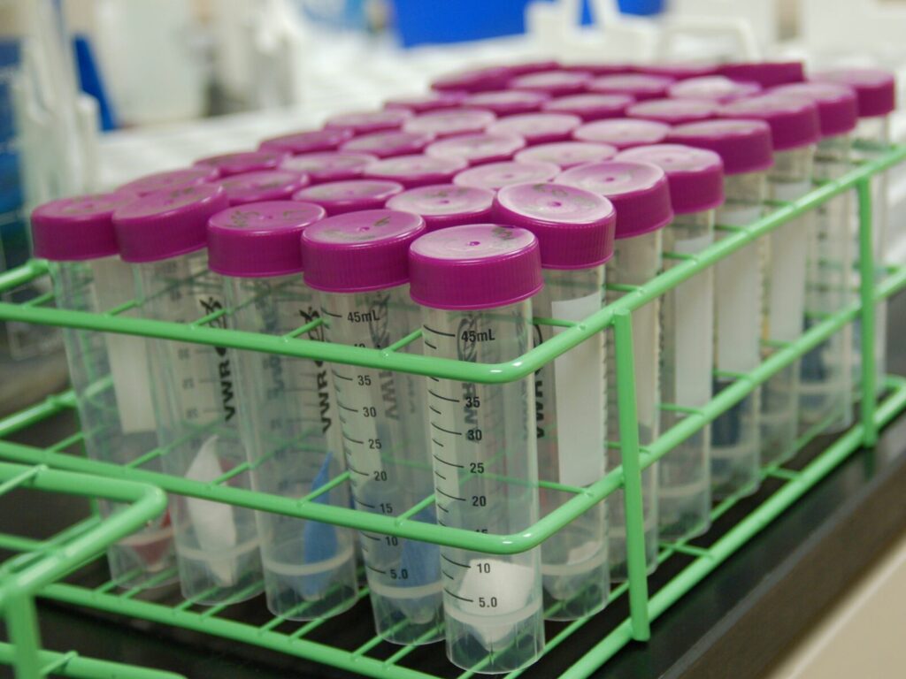 A tray of samples for chemical analysis