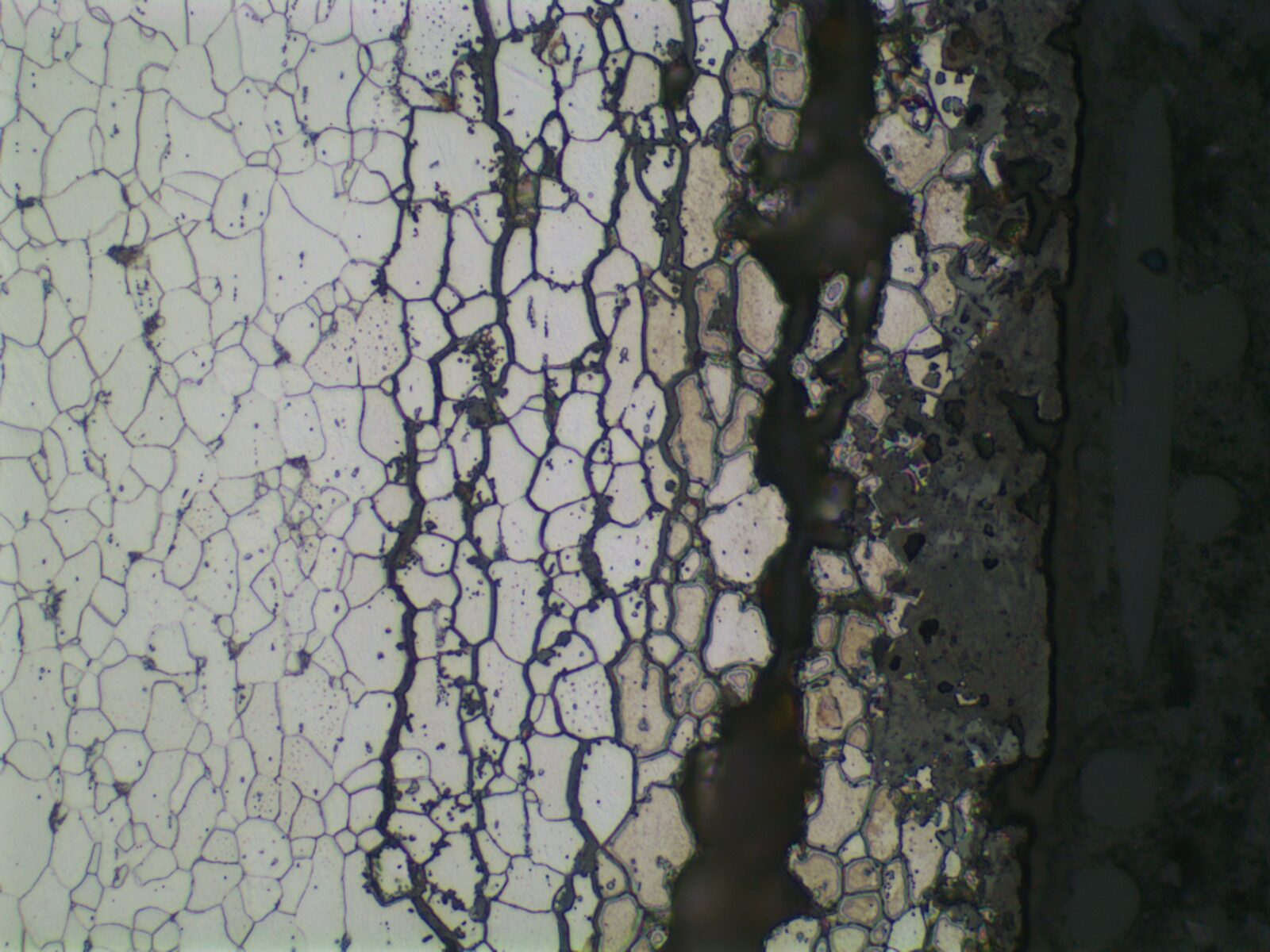 Intergranular corrosion study of a metal surface.