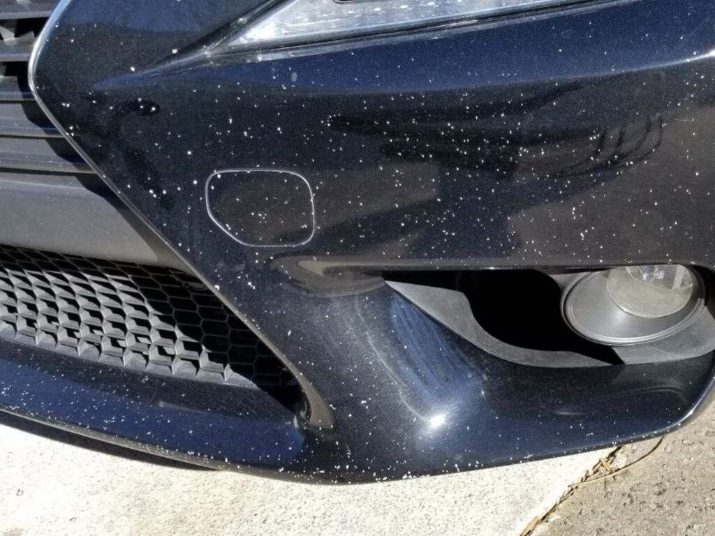 Image of stone chip on car coating