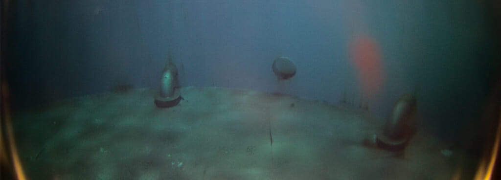 Point of view from an ROV inside a water tank