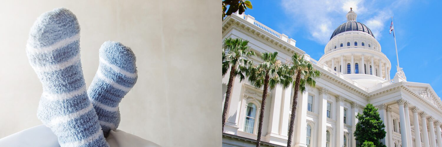 Fuzzy blue socks and the california state capitol