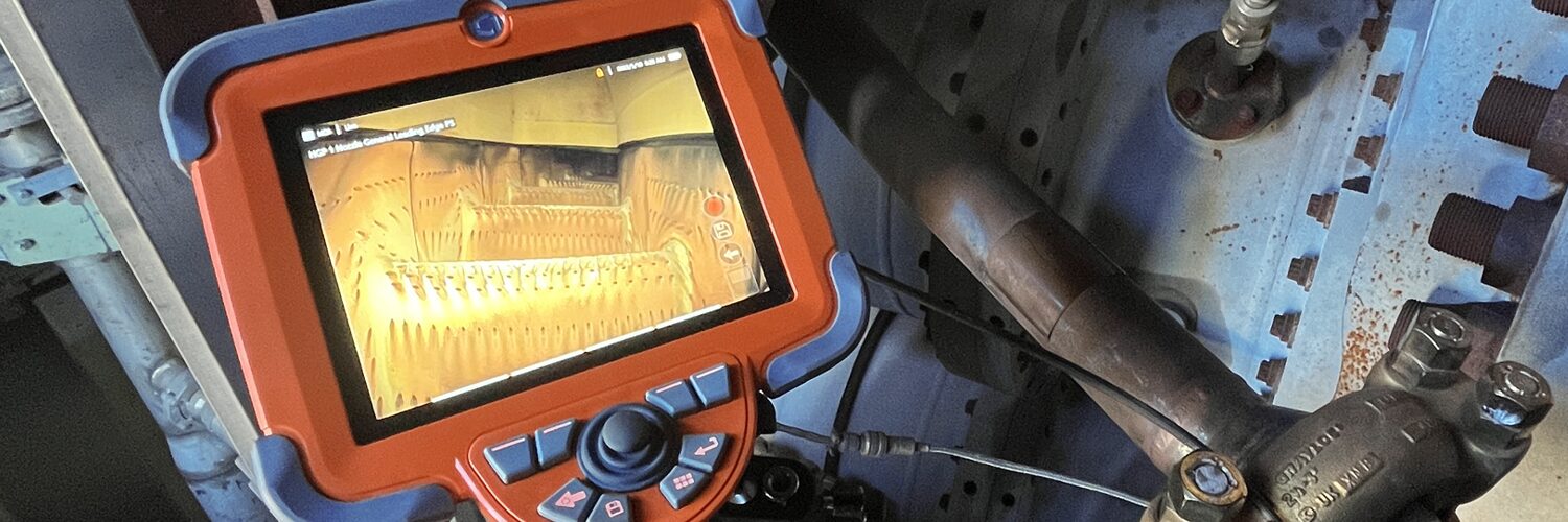 Borescope display in a turbine