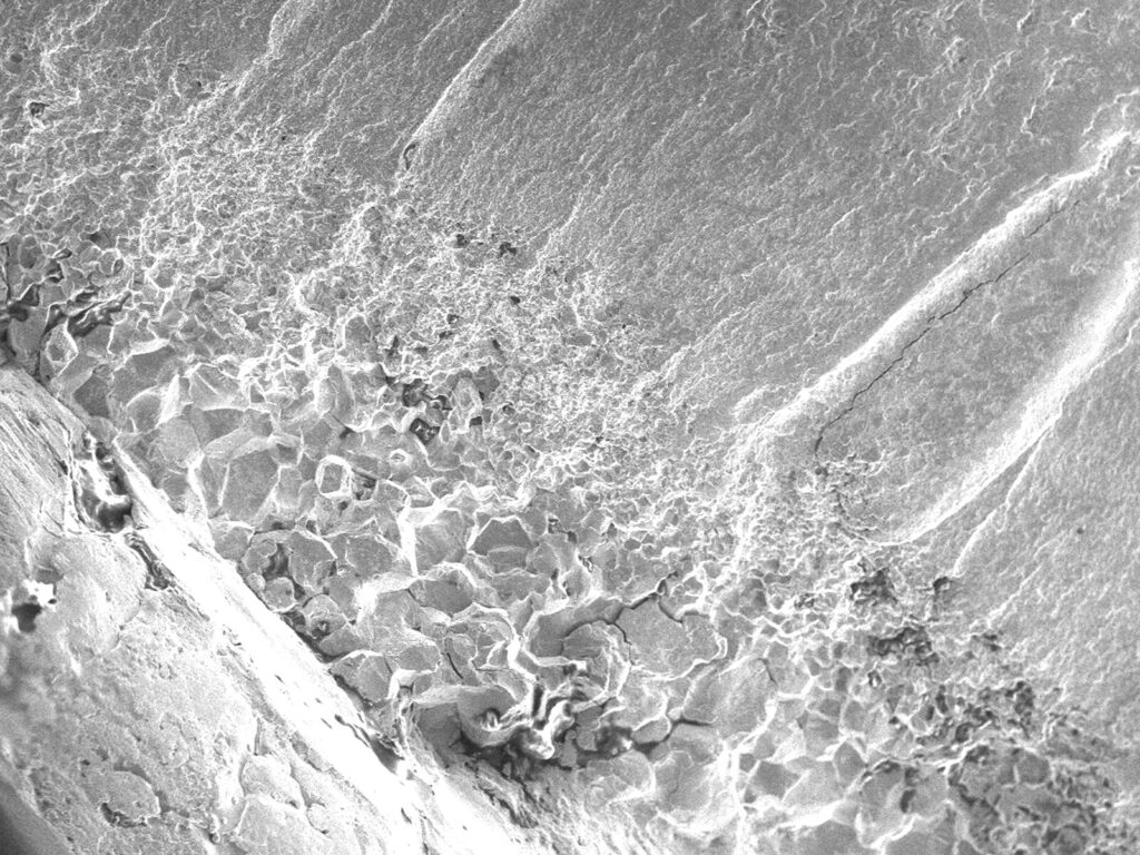 Microscope view of an intergranular surface