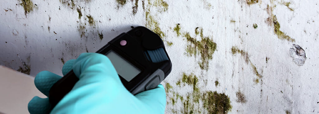 A gloved hand holds a moisture meter up to a white wall spattered with dark green patches of mold as part of a professional mold testing service.