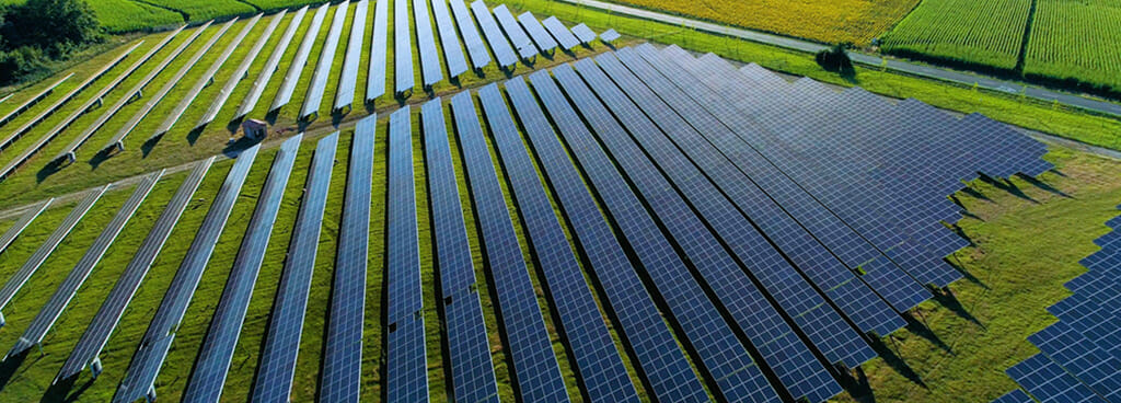 A grassy field with rows and rows of solar panels, officially called Photovoltaic Energy Systems (P.V.E.S.).
