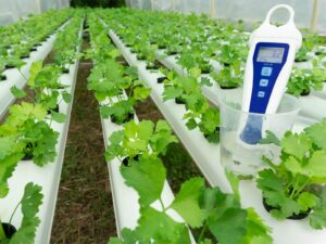 pH meter in a greenhouse