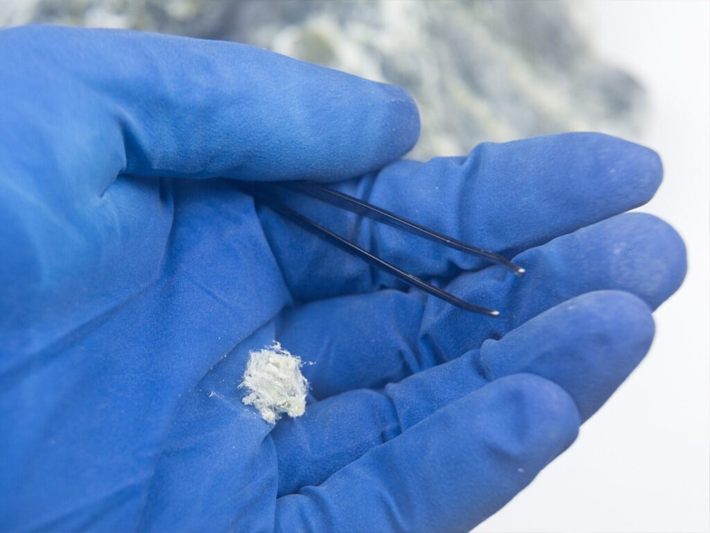A gloved hand holds a sample of mineral asbestos and forceps
