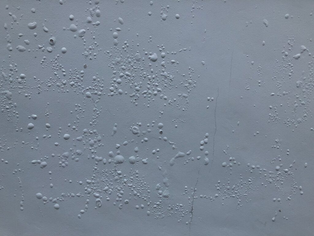 blistered paint